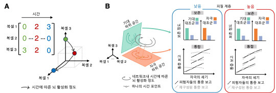 뇌의 활성화 정도를 표상하는 공간과 그 안에서 일어나는 통증 정보의 보존과 통합. IBS 제공