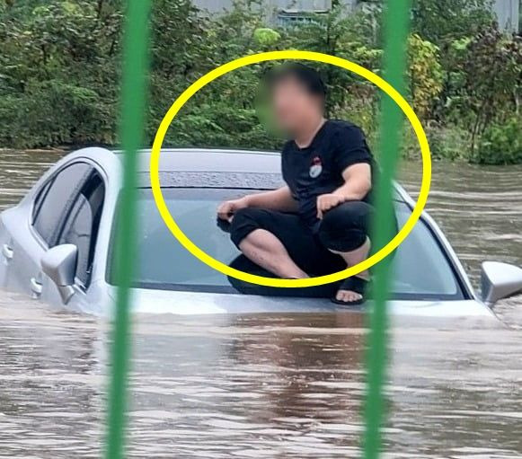 '제2의 서초동 현자'라고 불린 사진/사진=온라인 커뮤니티 갈무리