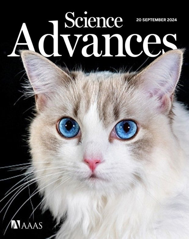 국제학술지 '사이언스 어드밴시스(Science Advances)'의 표지논문으로 선정된 고양이 눈 카메라. GIST 제공