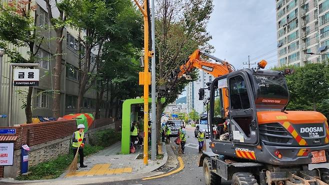 굴삭기 부착 진동수확기가 서울 시내 은행나무 열매를 제거하고 있다. 서울시 제공