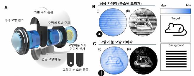 연구팀이 고양이 눈에서 영감을 받아 개발한 시각 시스템을 이미지화한 사진 /사진=GIST