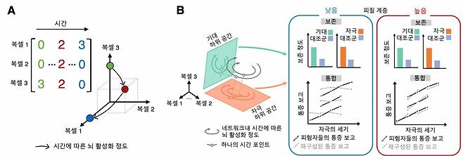 뇌의 활성화 정도를 표상하는 공간과 그 안에서 일어나는 통증 정보의 보존과 통합.[IBS 제공]