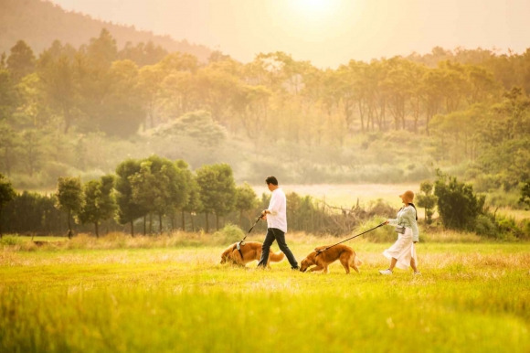 반려견과 산책을 즐기는 이른바 ‘펫팸족’의 모습. 한국관광공사 제공.