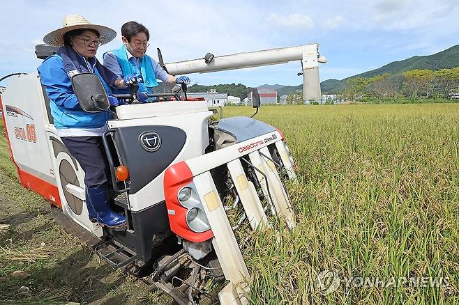 백세미 수확하는 이재명 대표 (곡성=연합뉴스) 김혜인 기자 =24일 오전 전남 곡성군 석곡면 논에서 이재명 더불어민주당 대표가 콤바인을 몰고 있다. 2024.9.24 in@yna.co.kr