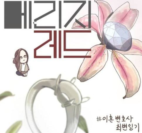 지난 2018년 인스타그램에서 연재를 시작한 웹툰 '메리지레드'. 최유나 변호사가 글을 주면 웹툰 작가가 10컷 그림을 그려 일주일에 세 번씩 올렸다. "1000명만 봐줘도 좋겠다"는 마음으로 시작했는데 팔로어가 23만명을 넘겼다. [최유나 인스타그램 캡처]