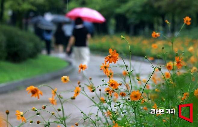 전국적으로 비가 내린 20일 서울 여의도공원에서 시민들이 우산을 쓴 채 발걸음을 옮기고 있다. 기상청은 21일까지 많은 비가 내리고 나면 더위가 한풀 꺽일것으로 내다봤다. 사진=김현민 기자 kimhyun81@