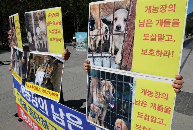 한국동물보호연합 회원들이 23일 오후 서울 종로구 세종대로사거리 인근에서 개농장의 남은 개들을 도살말고, 보호하라 기자회견을 하고 있다. 뉴시스