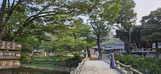 충남 공주시 마곡사 전경