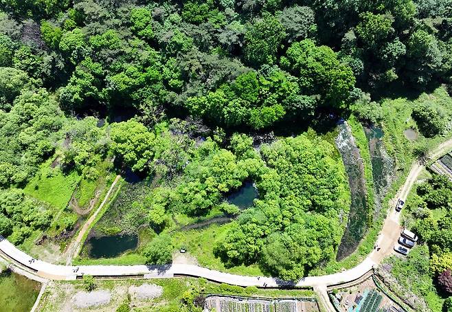 이 책은 46억년간 지구가 겪은 다섯번의 대멸종과 다가오는 여섯번째 대멸종을 흥미롭게 소개한다.[사진=연합뉴스]