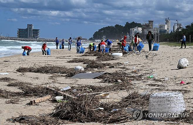 해변 쓰레기 청소하는 자원봉사자들 (강릉=연합뉴스) 유형재 기자 = 폭우와 강한 너울로 각종 해양 쓰레기가 쌓인 강원 강릉시 안목해변∼송정해변에서 23일 강릉지역 로터리클럽 회원들이 자원봉사에 나서 청소하고 있다. 2024.9.23 yoo21@yna.co.kr