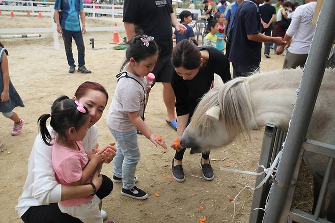 10월4일부터 6일까지 사흘간 전북 완주 고산면 고산자연휴양림 일원에서 열리는 ‘제12회 와일드&로컬푸드 축제’ 부대행사로 ‘완주 말(馬)문화 행사’가 열린다. 완주군 제공