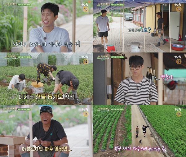 삼시세끼 임영웅 / 사진=tvN 제공