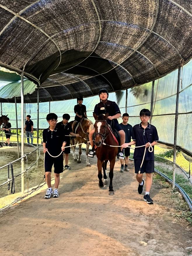 ▲ 말관리사 체험 장면 [영광옥당중]