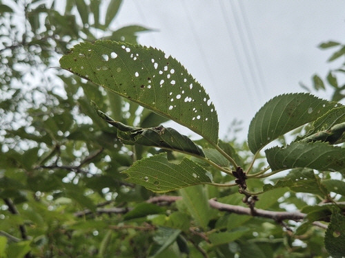 연합뉴스