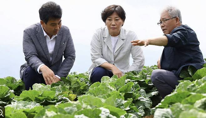 배추밭 찾은 송미령 농식품부 장관.(사진=연합뉴스)