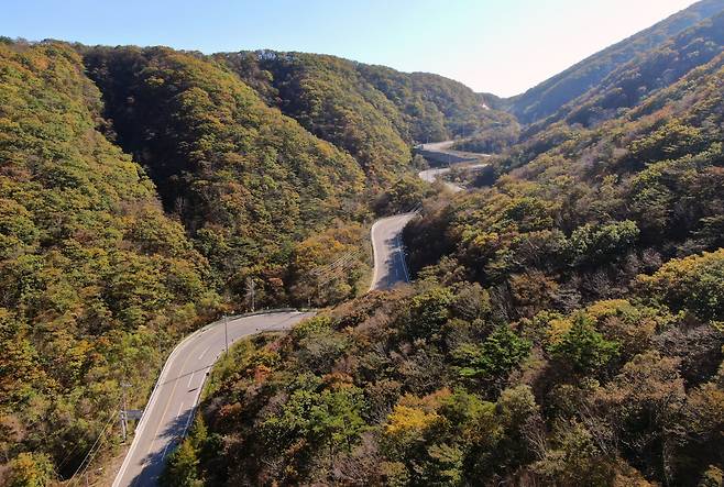 지난 2022년 10월 13일 오후 강원도 평창군 오대산 자락 진고개 단풍. /뉴스1