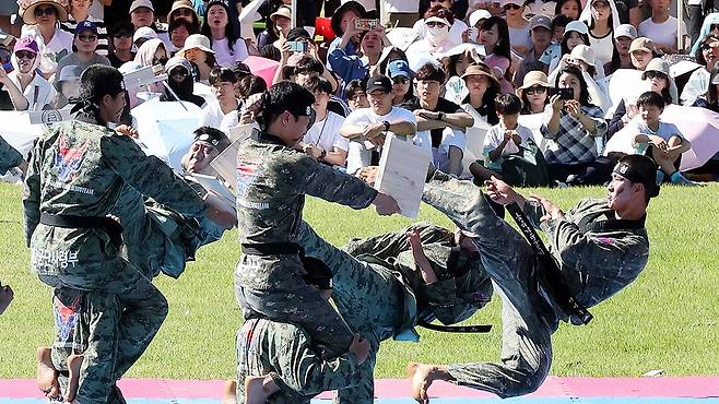 태권도 시범단이 합판 격파를 선보이고 있다. 뉴시스