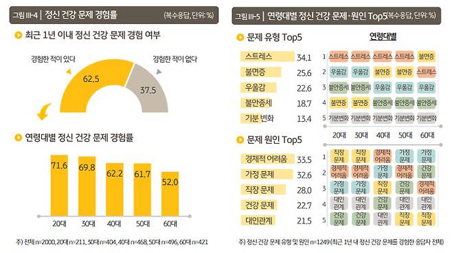 KB금융지주 KB경영연구소 ‘2024 한국 웰니스 보고서’ 발췌.