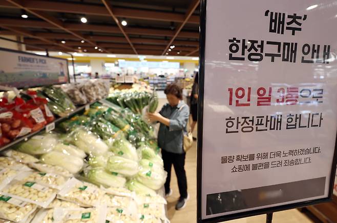 지난 29일 서울의 한 대형마트에 배추 한정구매를 알리는 안내문이 게시돼 있다. /뉴스1