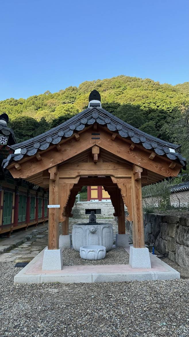 IMG_1578.jpeg 경치가 끝내주는 이른아침 내장산 국립공원의 백양사