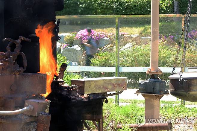 포항 천연가스 불꽃 (포항=연합뉴스) 손대성 기자 = 3일 경북 포항시 남구 대잠동 철길숲 불의 정원에서 천연가스 불꽃이 타오르고 있다.
    이 불꽃은 2017년 공원 조성 과정에서 관정을 파던 중 땅속에서 나온 천연가스로 인해 굴착기에 붙은 뒤 현재까지 타고 있다.
    정부는 이날 포항 영일만 앞바다에 막대한 양의 석유와 가스가 매장돼 있을 가능성이 높다는 물리탐사 결과를 발표했다. 2024.6.3 sds123@yna.co.kr