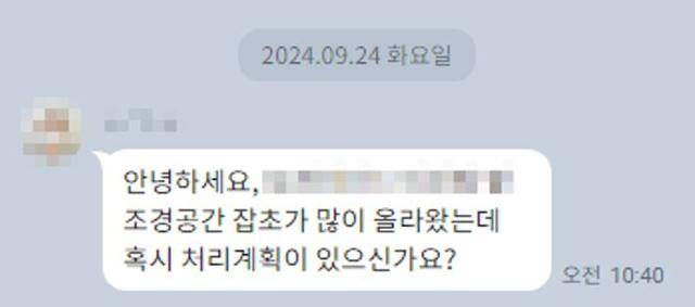 지난달 24일 카카오톡 기반 민원 접수 서비스 'OK서구'에 주거지 주변 잡초 제거를 요청하는 민원이 접수됐다. 대구 서구 제공