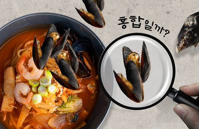 우리가 흔히 먹는 홍합의 90% 이상은 사실 홍합이 아닌 지중해담치다./그래픽=최우연