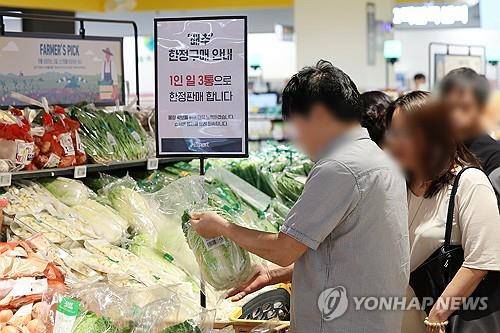 대형마트에서 배추 살피는 시민  (서울=연합뉴스) 신현우 기자 = 폭염으로 배춧값 강세가 이어지는 가운데 29일 오전 서울 시내 한 대형마트를 찾은 시민이 손질배추를 살피고 있다.
