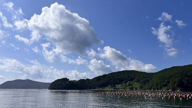 IMG_2580.jpeg 통영 장사도 방문기 (별그대 촬영지)