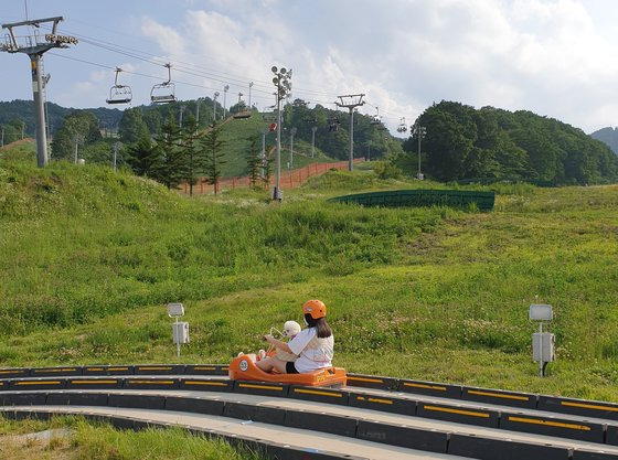 슬로프 한편에 설치된 루지도 반려견과 함께 즐길 수 있다. 사진 휘닉스호텔앤드리조트