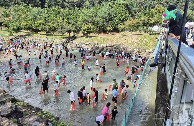 5일 전북 완주군 고산자연휴양림 일원에서 열린 완주와일드&로컬푸드 축제를 찾은 관광객들이 맨손 물고기 잡기 체험을 하고 있다. 2024.10.5/뉴스1 ⓒ News1 강교현 기자