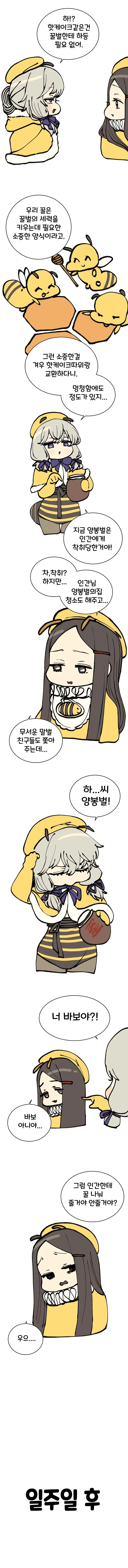 image.png 양봉벌과 토종벌.manhwa