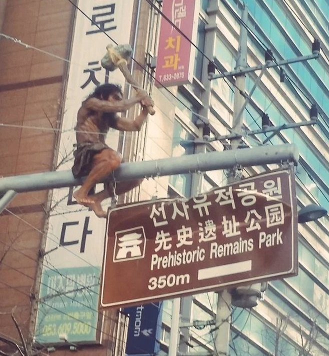 image.png 대구에만 있다는 특이한 공원 표지판.JPG