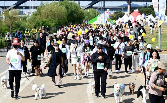 5일 서울 뚝섬한강공원에서 열린 제1회 서울 동물보호의날 기념행사 개막식 겸 동물행복페스타에 참가한 시민들과 반려견들이 동행런을 하고 있다.왕태석 선임기자