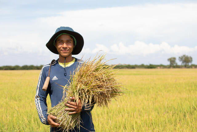 캄보디아의 한 농민. 유엔 식량농업기구(FAO) 제공