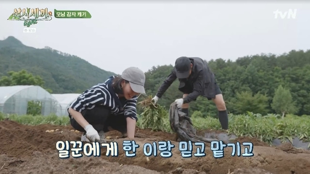 tvN ‘삼시세끼 Light’ 캡처