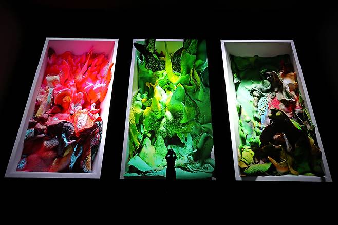 Refik Anadol's first solo exhibition in Asia, Echoes of the Earth: Living Archive, held in Futura Seoul. / News1