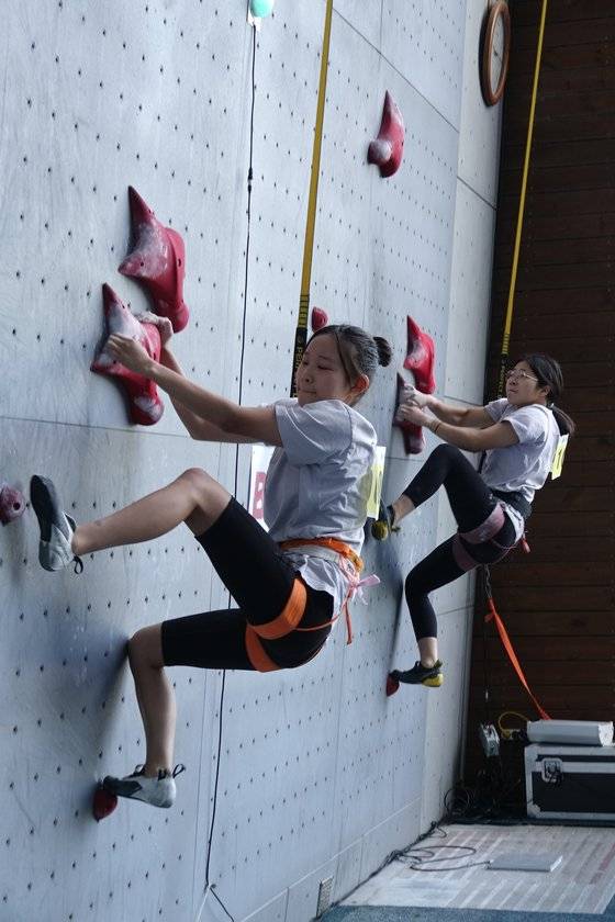 지난 5월 18일 오전 전북 전주시 완산생활체육공원에서 열린 전주한옥마을배 스포츠클라이밍 동호인 대회 스피드 부문에서 출전자들이 스타트하고 있다. 스피드 루트는 15m 높이로 전 세계 어디서나 루트 형태가 똑같다. 기자는 스피드도 해봤다. 31초. 파리올림픽에 출전했던 신은철(25) 선수의 6분의 1 수준이었다. [사진 김주운]