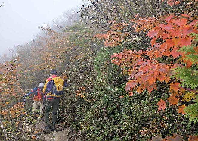 설악산 단풍. 연합뉴스