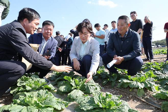 [서울=뉴시스] 조성우 기자 = 송미령 농림축산식품부 장관이 29일 전남 해안군 일원 배추 밭을 찾아 호우 피해상황과 김장배추 작황을 점검하고 있다. (사진=농림축산식품부 제공) 2024.09.29. photo@newsis.com *재판매 및 DB 금지