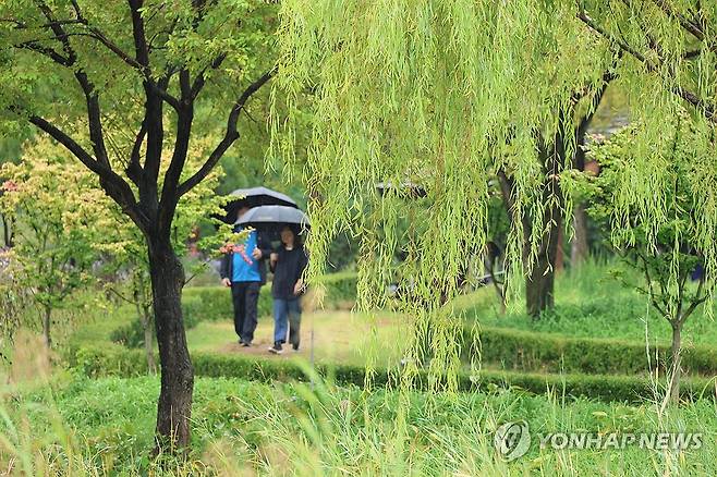 우산 쓰고 즐기는 가을비 산책 (대전=연합뉴스) 강수환 기자 = 개천절인 3일 오후 시민들이 비가 내리는 대전 서구 한밭수목원에서 산책을 즐기고 있다. 2024.10.3 swan@yna.co.kr