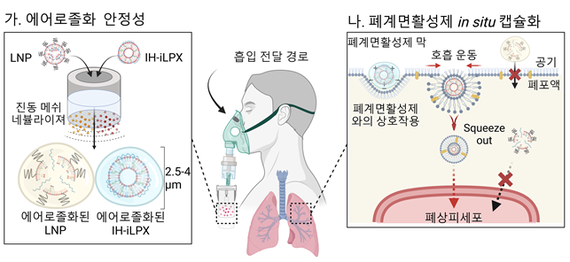 흡입 최적화 지질 나노 복합체의 mRNA 흡입 전달 전략 모식도. KAIST 제공