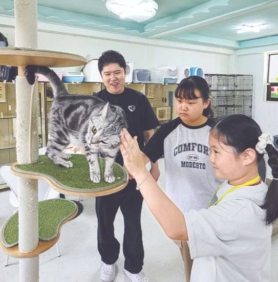 전 보호자로부터 파양됐지만 사람을 잘 따르는 ‘개냥이’ 제리는 먼저 소중 학생기자단에 다가와 관심을 보였다.