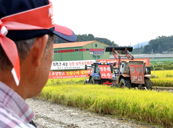 지난달 25일 충북 충주의 한 농가에서 농민들이 정부에 쌀 가격 보장을 촉구하며 논을 갈아엎고 있다. 연합뉴스