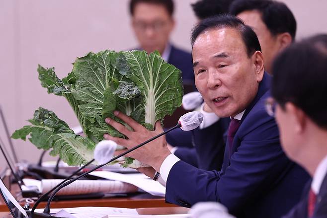 7일 서울 여의도 국회에서 열린 농림축산식품해양수산위원회의 농림축산식품부 국정감사에서 박덕흠 국민의힘 의원이 배추를 들어 보이며 고공 비행하는 채소 가격과 관련해 질의를 하고 있다. 뉴스1