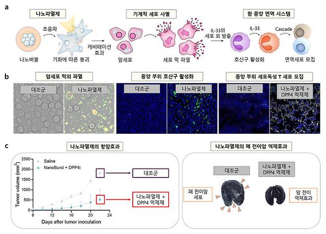 국립부경대·한국공학대·성균관대 연구팀이 개발에 성공한 나노기포를 이용한 새로운 기계적 사멸법과 이를 기반으로 한 암 치료법&nbsp;모식도. 부경대 제공