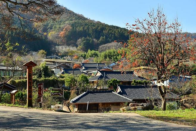 장성 금곡영화마을 [전남도제공]