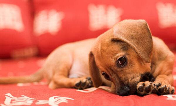 사진=게티이미지뱅크