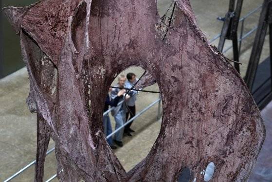 '이미래: 열린상처'를 보는 관람객들. 전시는 내년 3월 16일까지 이어진다. AP=연합