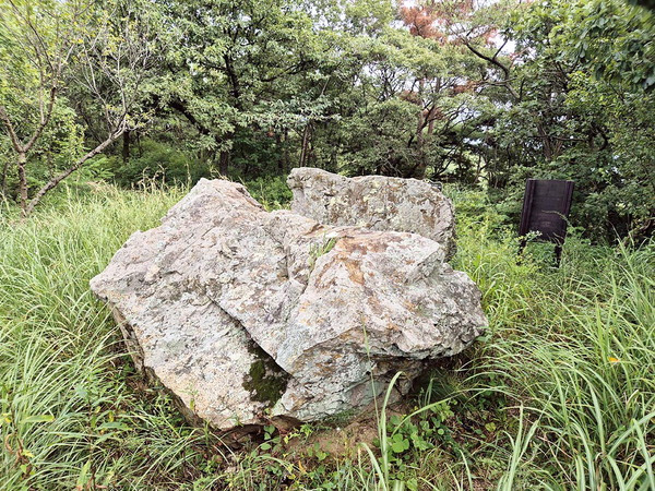 남녀가 죽어 변했다는 ‘농바위’